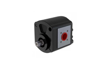 24,8 VE 21,9 SOLA DÖNÜŞ TANDEM DÖKÜM DİŞLİ POMPA DPH20.250/220.AAB02SN-T