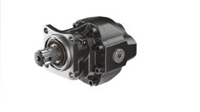 73 CC ÇİFT YÖNLÜ DÖKÜM DİŞLİ POMPA GPRN30.073.RST1N